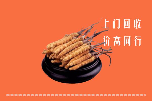 高价求购：铜川回收散虫草