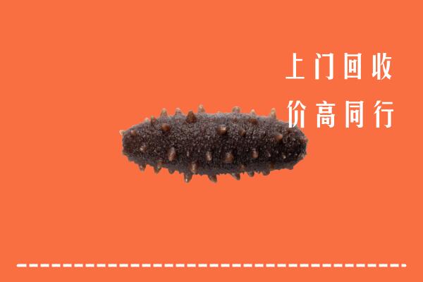 高价求购：铜川回收海参